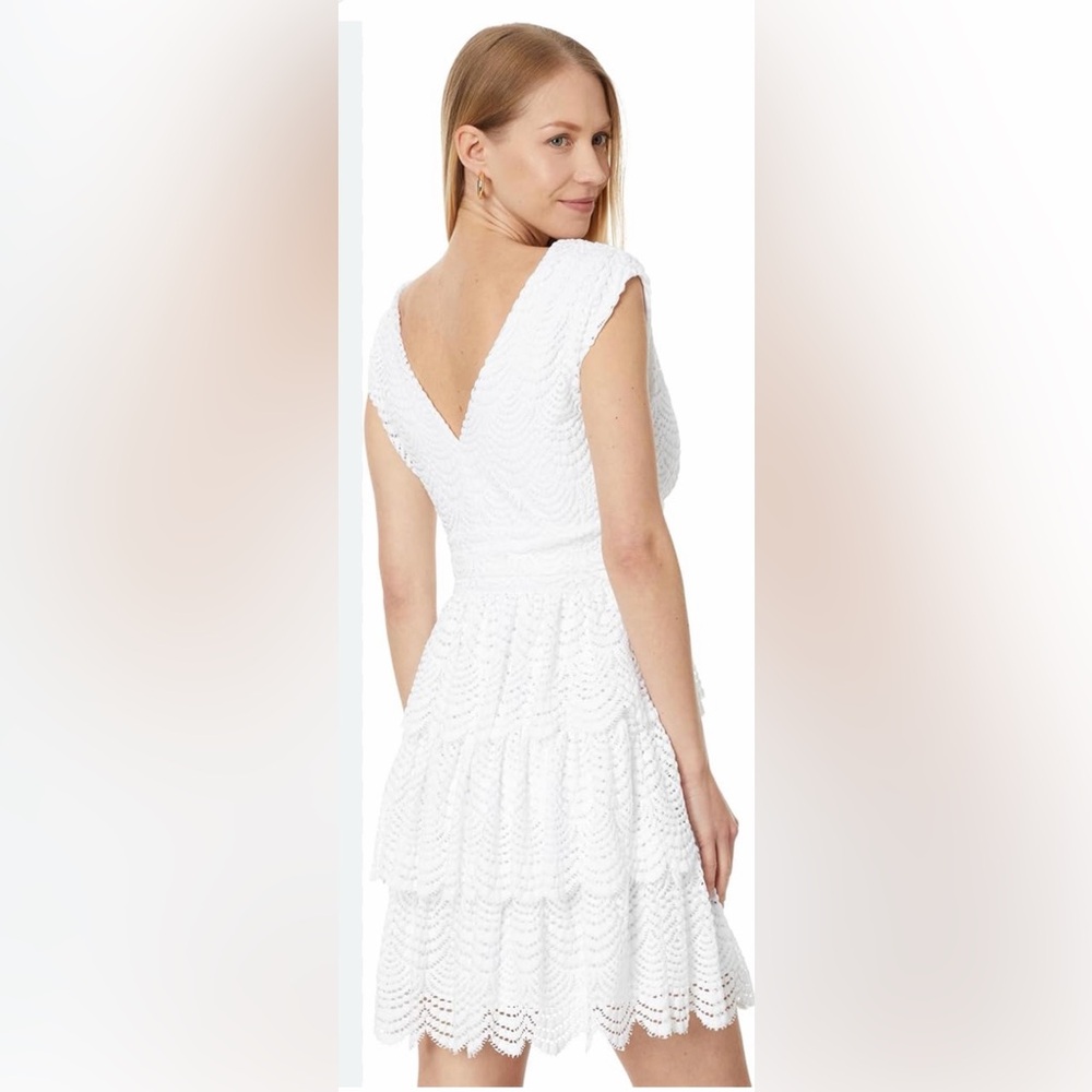 LILLY PULITZER FAYE V-NECK LACE RUFFLE DRESS RESORT WHITE SCALLOPED SHELL LACE L - Picture 4 of 15